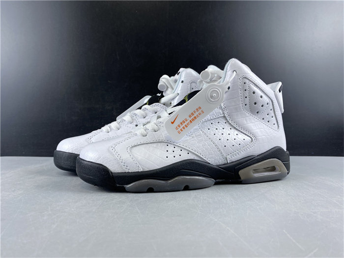 Jordan6 Alligator 384665-110