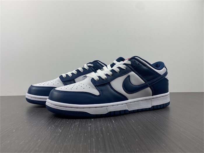 Nike Dunk Low Valerian Blue DD1391-400