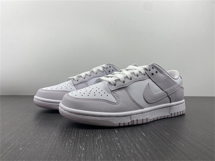 Nike Dunk Low Venice DD1503-116