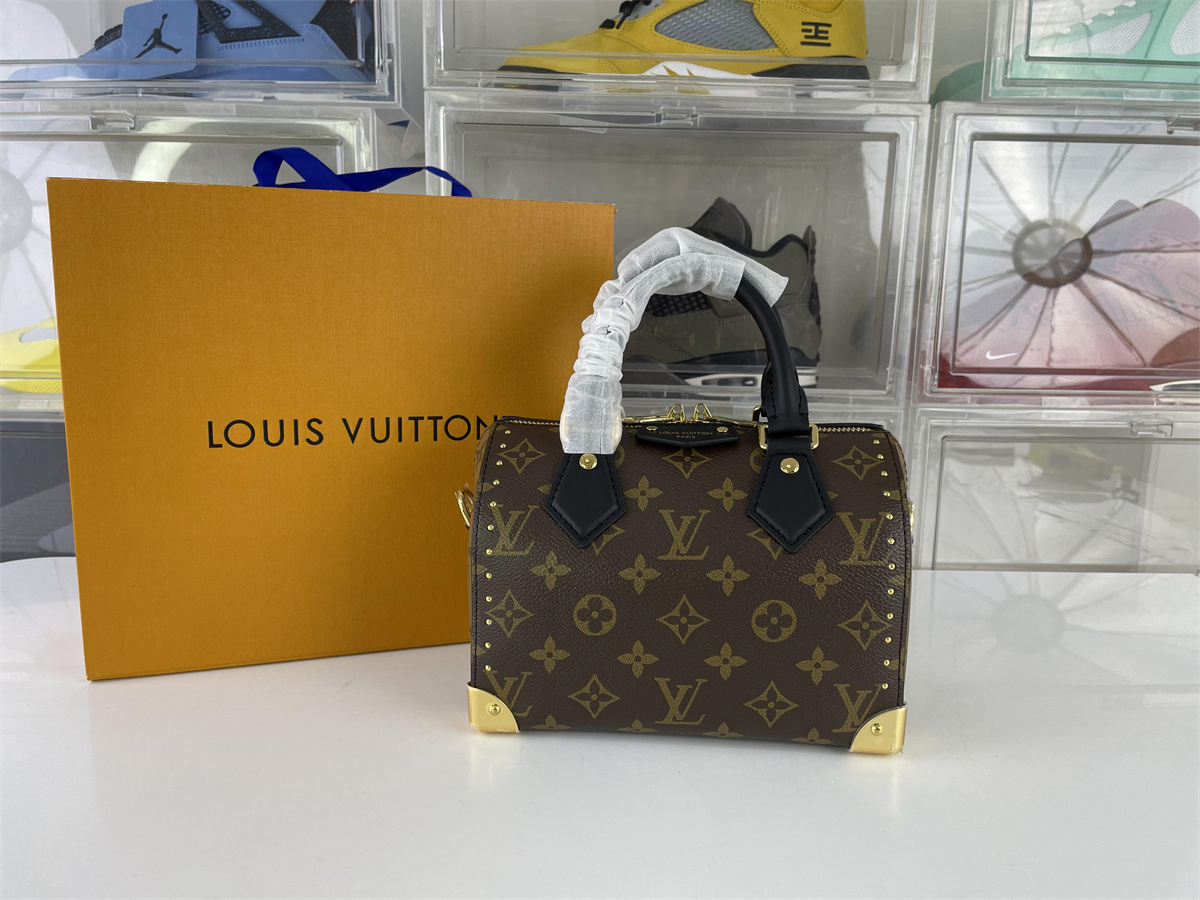 LV Louis Vuitton Speedy Trunk Brown handle Bag, (20.5 x 16 x 11 cm)