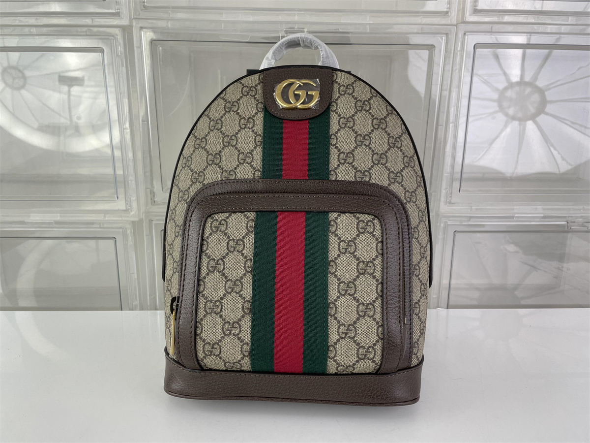 GUCCI Lady's backpack brown coffee color,  (29 x 22 x 15cm)