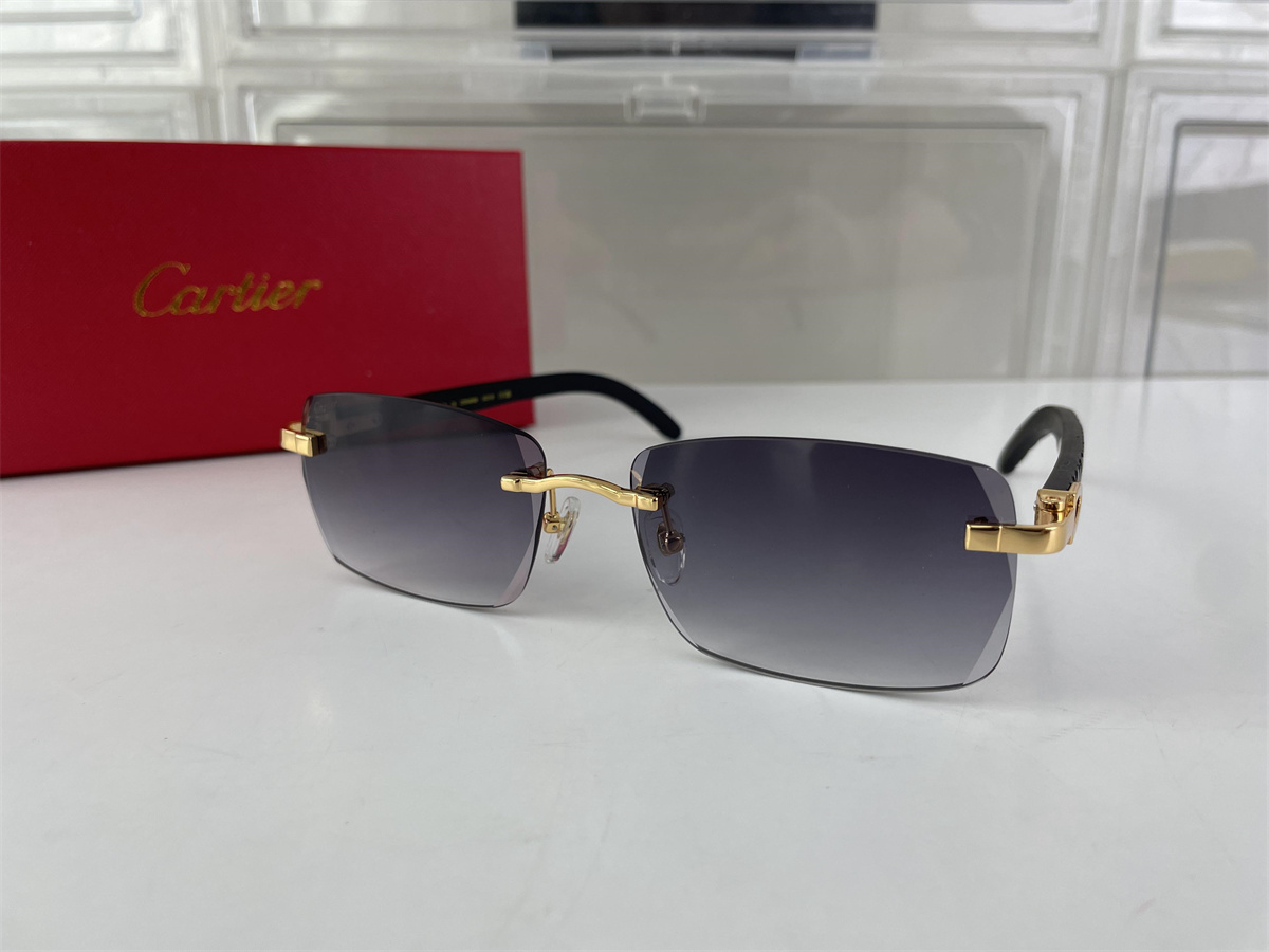 Cartier Puple Gold sunglasses