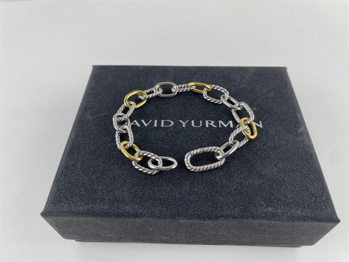 David Yurman Gold Silver Chain style Bracelet, (20cm)