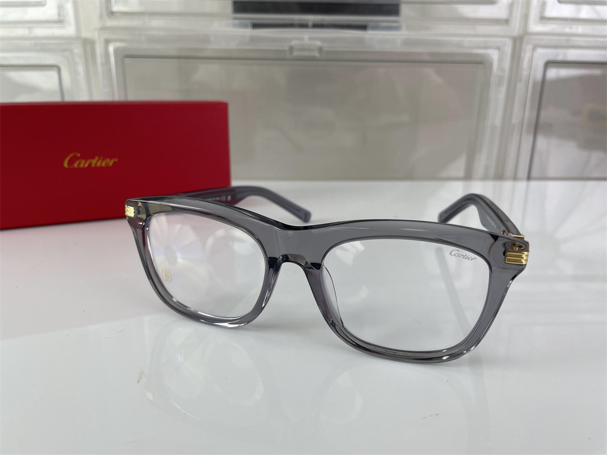 Cartier Grey Transparent Sunglass