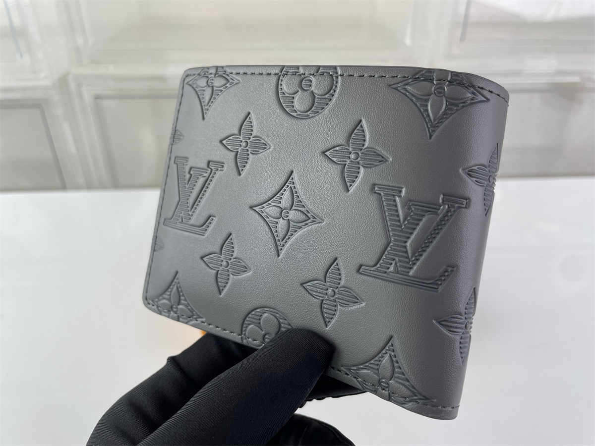 LV Louis Vuitton Grey Embossed Wallet
